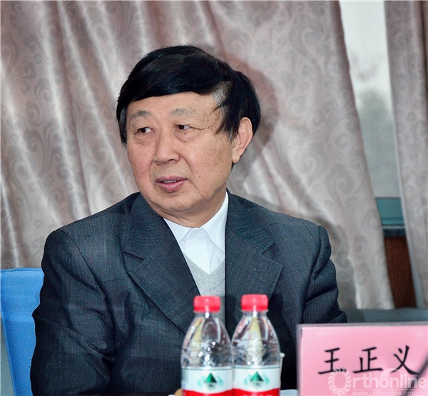 王正义教授