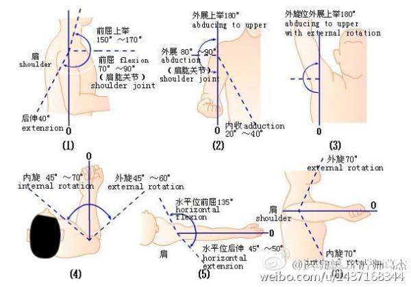 各关节活动度的参考值