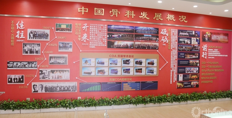9中国骨科发展概况.JPG