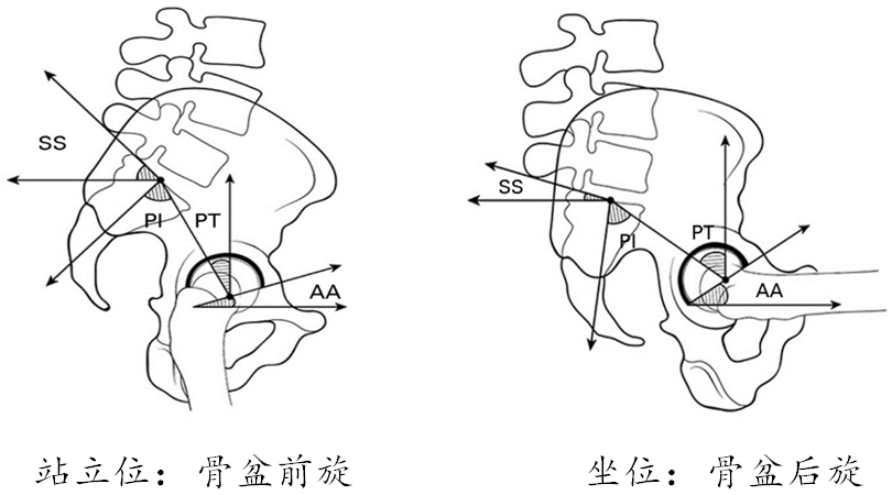 音乐治耳鸣是什么原理_耳鸣是什么原因引起的(3)