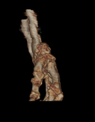 图片11 - 副本.png