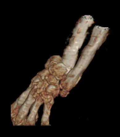 图片13 - 副本.png