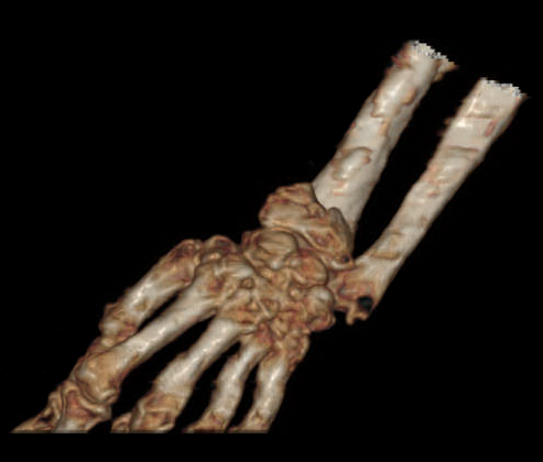 图片12 - 副本.png